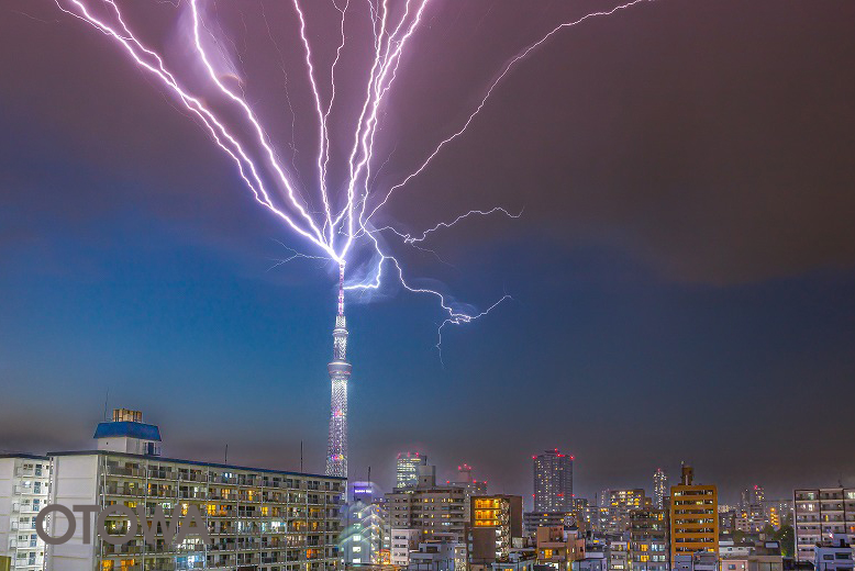 The 20th 雷写真コンテスト受賞作品 Academic Work Prize -The Flower of Spring Thunder-